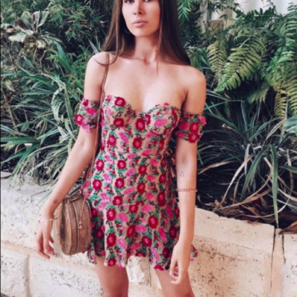 BNWT for love and lemons amelia dress
